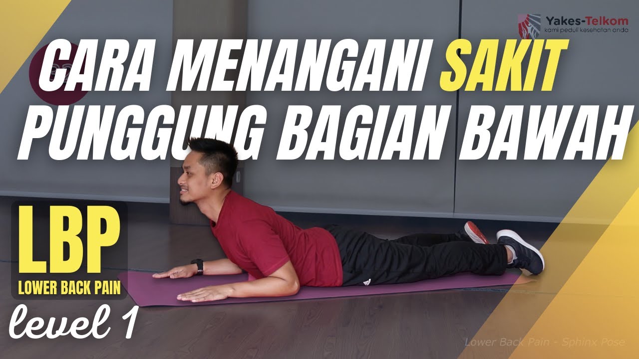 Penanganan Fisioterapi Untuk Nyeri Punggung Bawah - YouTube