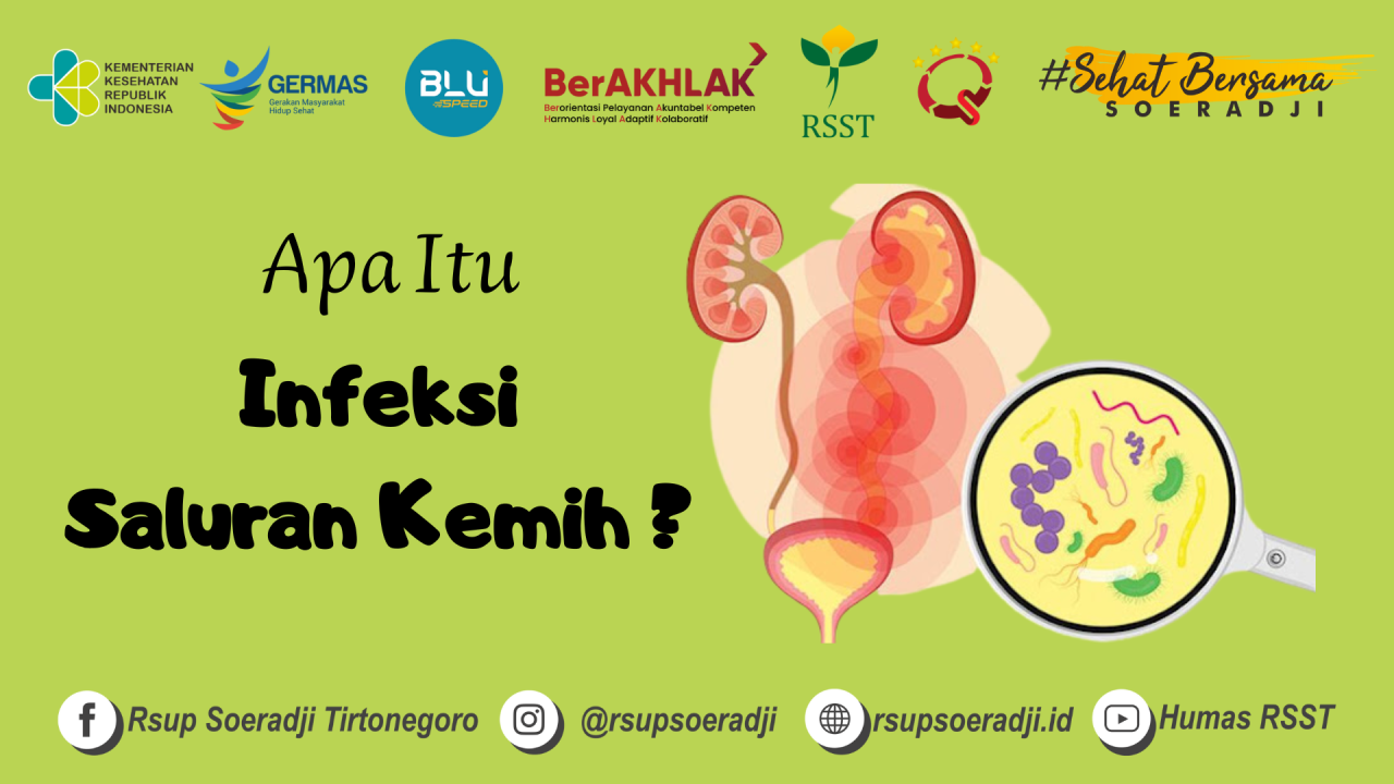 Apa Itu Infeksi Saluran Kemih ? – RSUP dr. SOERADJI TIRTONEGORO Apa Itu Infeksi Saluran Kemih ? – RSUP dr. SOERADJI TIRTONEGORO