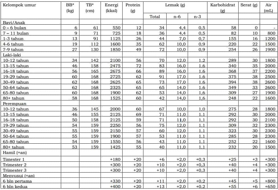 Aplikasi Data Gizi Harian yang Dapat Disesuaikan Berdasarkan Usia